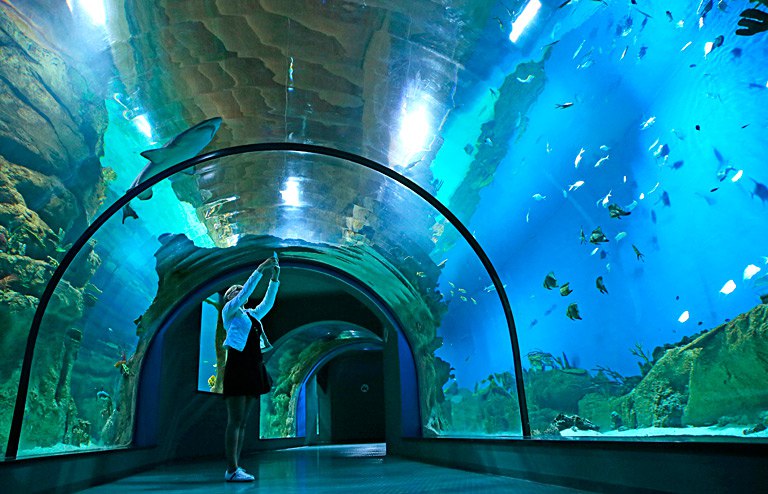 Парк аквариум москва