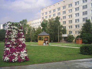Входная группа Городская клиническая больница им. В.В. Вересаева (№ 81). 
