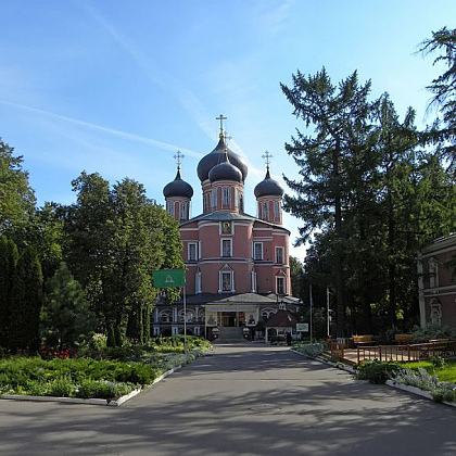 Входная группа Храм Донской Иконы Божией Матери, Большой Собор. 